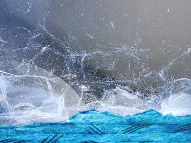 Conseils en système d'information